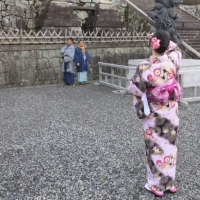 [코사카]문화체험 학습자료:일본 전통의상 おでかけ きもの 외출 기모노 7점 세트 - 여성용 L, M 사이즈